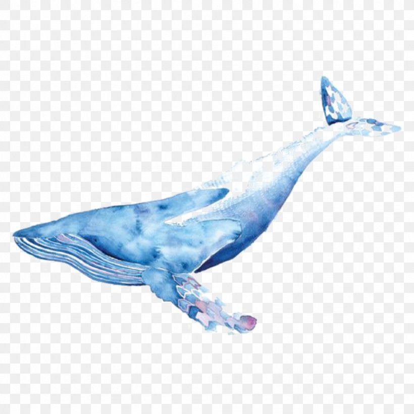 Transparent Watercolor Watercolor Painting Drawing Whales Blue Whale, PNG, 1024x1024px, Transparent Watercolor, Art, Blue Whale, Cetacea, Drawing Download Free