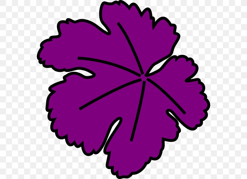 Desktop Wallpaper Grape Vine Clip Art, PNG, 576x595px, Grape, Drawing, Flower, Flowering Plant, Grape Leaves Download Free