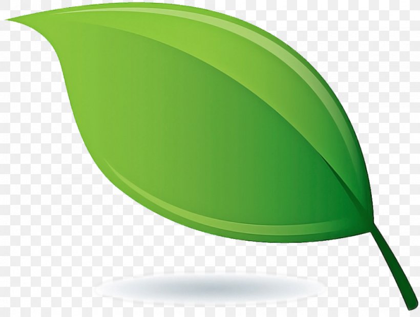 Leaf Green Clip Art Plant, PNG, 995x752px, Leaf, Green, Plant Download Free