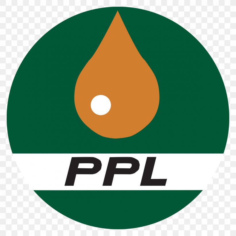 Pakistan Petroleum Natural Gas Fauji Fertilizer Company, PNG, 1200x1200px, Pakistan, Area, Brand, Chief Executive, Company Download Free