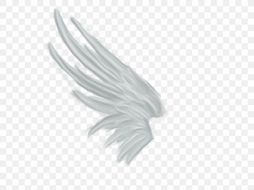 Rendering Wing White Angel, PNG, 1024x768px, Rendering, Angel, Black And White, Feather, Information Download Free