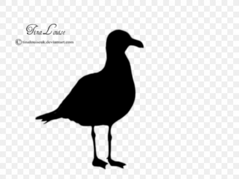 Gulls Silhouette Clip Art, PNG, 1024x768px, Gulls, Beak, Bird, Black And White, California Gull Download Free