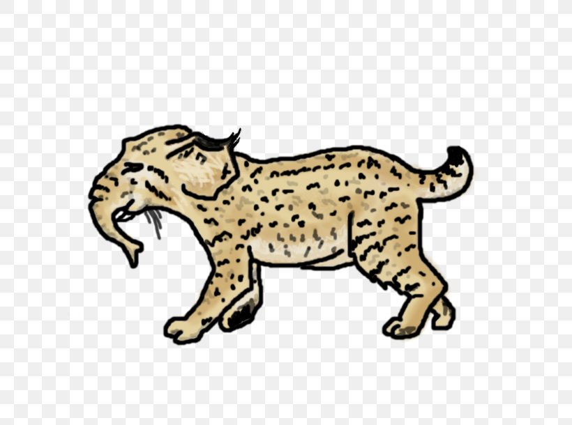 Whiskers Lion Cheetah Leopard Tiger, PNG, 809x610px, Whiskers, Animal Figure, Art, Big Cats, Bobcat Download Free