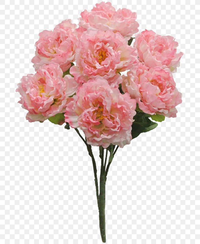 Flower Garden Roses Centifolia Roses Peony Shrub, PNG, 700x1000px, Flower, Annual Plant, Artificial Flower, Carnation, Centifolia Roses Download Free