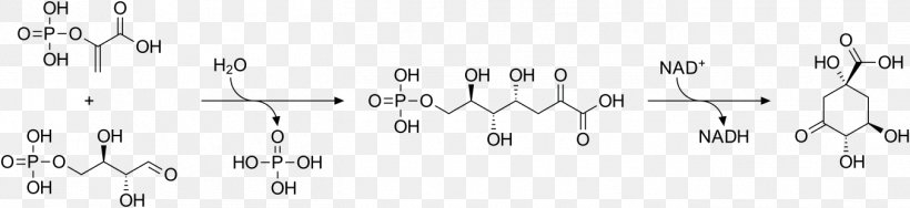 Shikimic Acid Star Anise Shikimate Pathway Tannin Erythrose 4-phosphate, PNG, 1352x310px, Watercolor, Cartoon, Flower, Frame, Heart Download Free