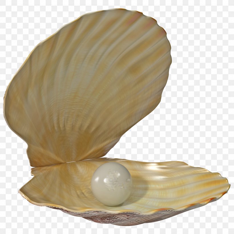 Clip Art Seashell Pearl Openclipart, PNG, 2048x2048px, Seashell, Clam, Clams Oysters Mussels And Scallops, Cockle, Conch Download Free
