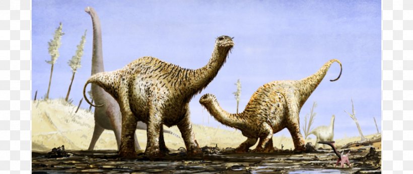 Dinosaur Amargasaurus Prehistory Ouranosaurus Skorpiovenator, PNG, 900x381px, Dinosaur, Amargasaurus, Animal, Art, Baryonyx Download Free