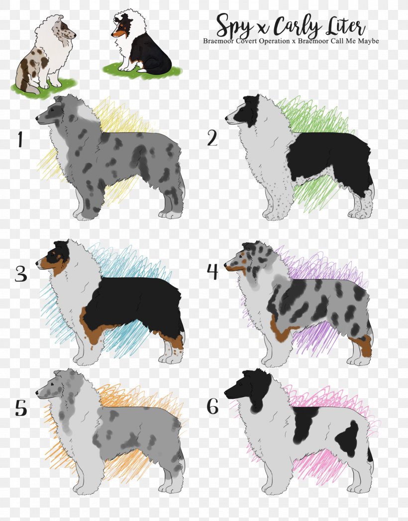 Dog Breed Border Collie Rough Collie Companion Dog, PNG, 1600x2044px, Dog Breed, Border Collie, Breed, Carnivoran, Companion Dog Download Free