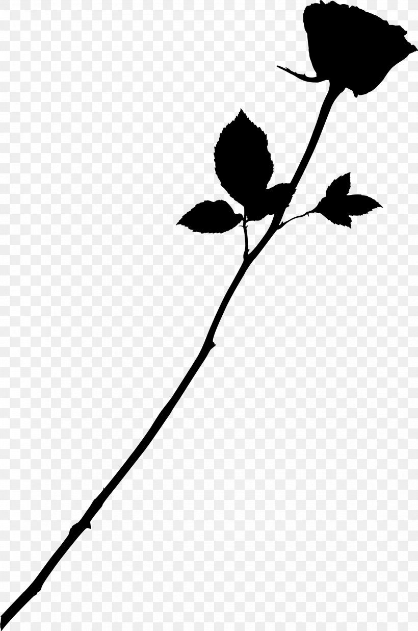 Love Image Rose Friendship, PNG, 2351x3548px, Love, Black, Blackandwhite, Botany, Branch Download Free