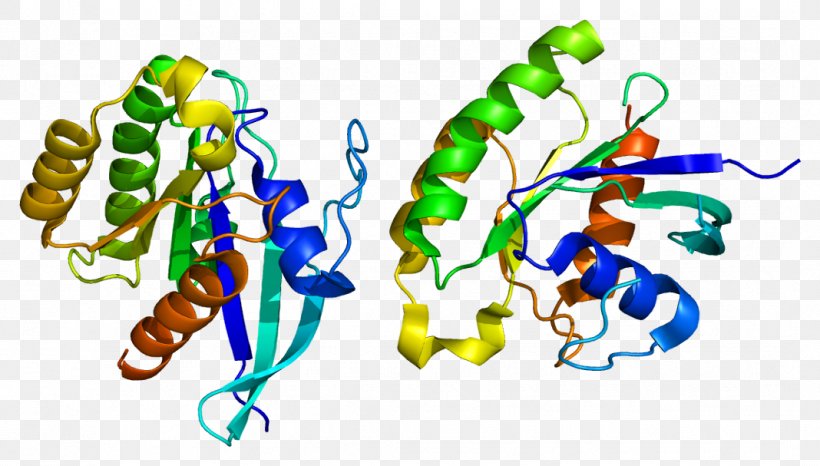 RALA Ras Subfamily Protein GTPase Gene, PNG, 1068x607px, Ras Subfamily, G Protein, Gene, Gtpase, Guanosine Triphosphate Download Free