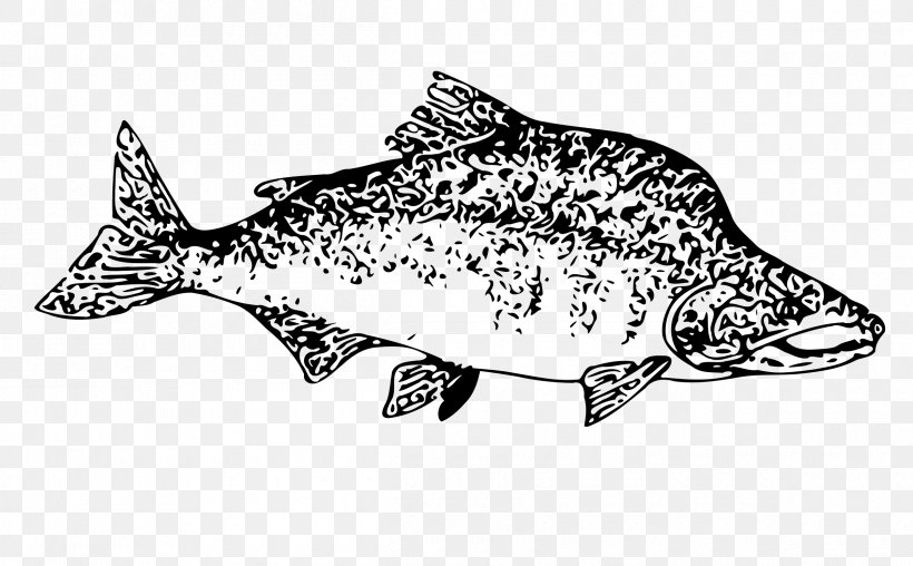 Salmon Fish Clip Art, PNG, 2400x1489px, Salmon, Animal Figure, Animation, Black And White, Drawing Download Free