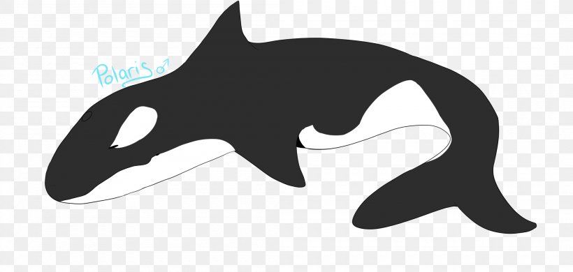 Cat Dolphin Killer Whale Shark Clip Art, PNG, 2100x1000px, Cat, Black, Black And White, Black M, Carnivoran Download Free