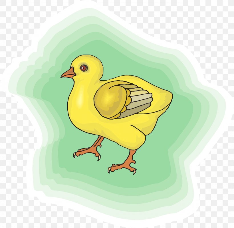 Chicken Animation Bird Clip Art, PNG, 1280x1247px, Chicken, Animation, Art, Beak, Bird Download Free