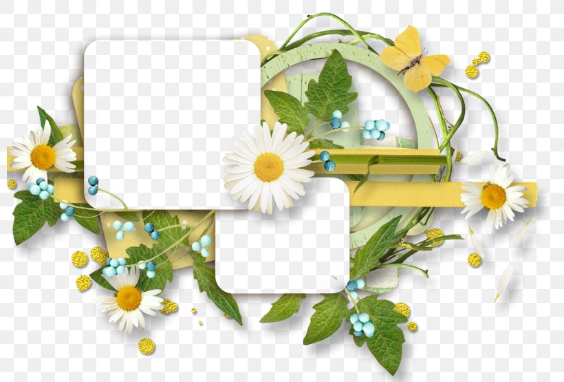Floral Design Cut Flowers Desktop Wallpaper, PNG, 800x555px, Floral Design, Art, Chrysanthemum, Collage, Computer Download Free