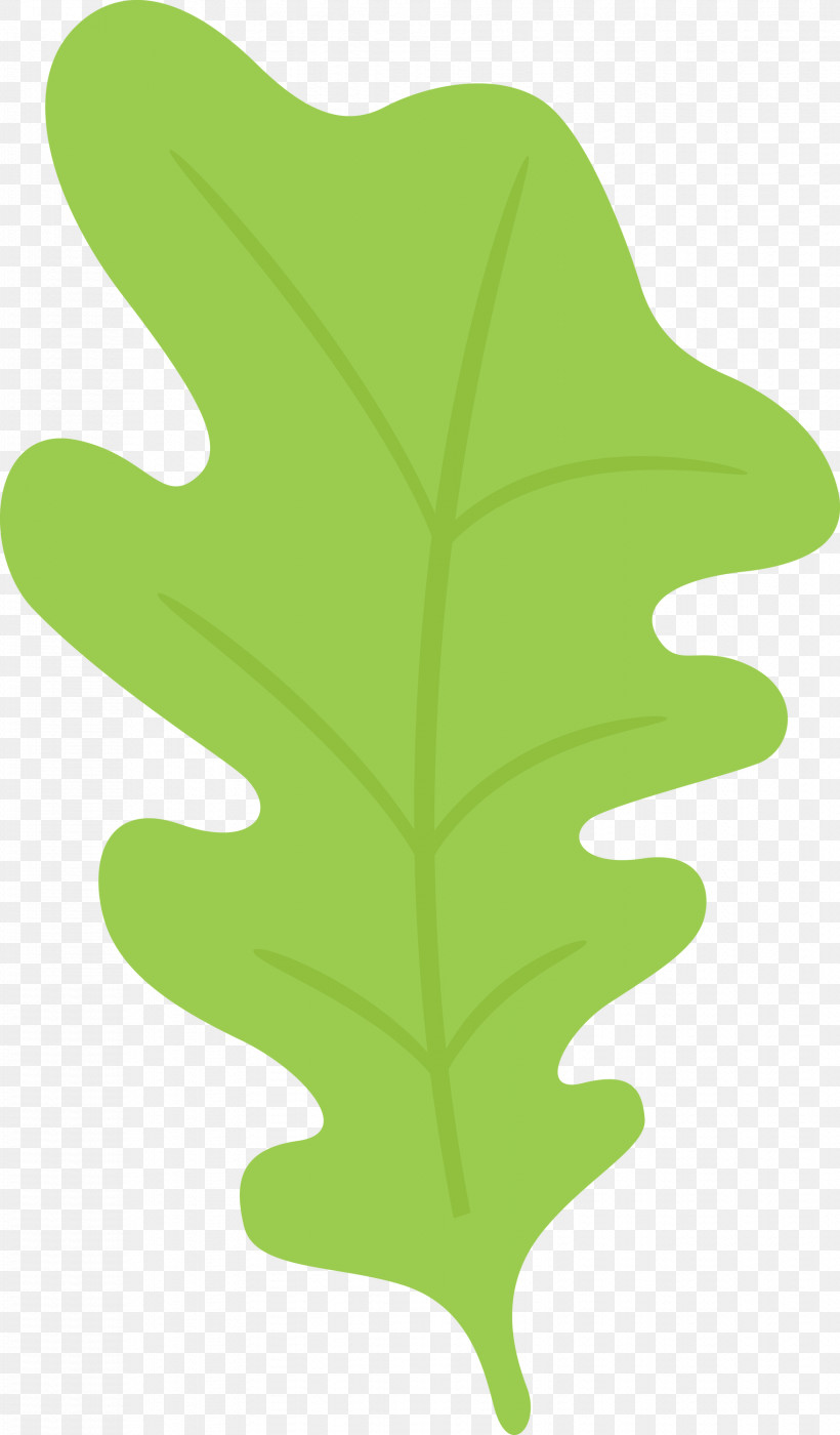 Oak Leaf, PNG, 1756x3000px, Oak Leaf, Biology, Green, Leaf, Plant Stem Download Free