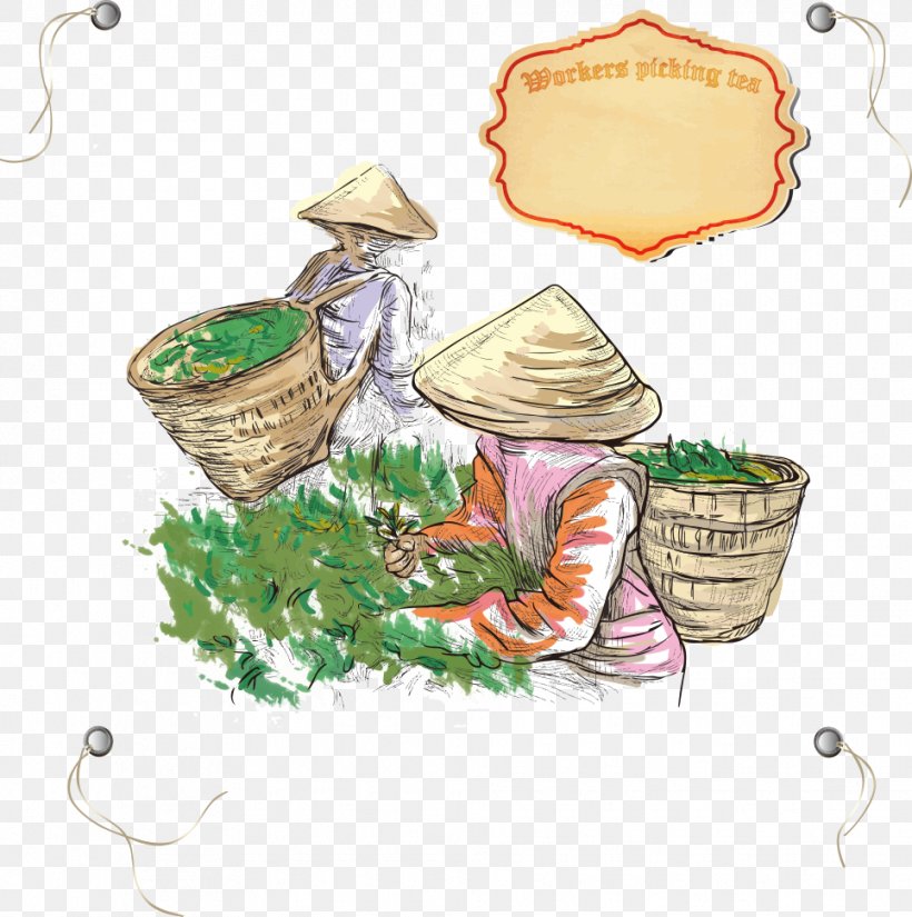 Tea Drawing Illustration, PNG, 965x971px, Tea, Agriculture, Art, Cartoon, Drawing Download Free