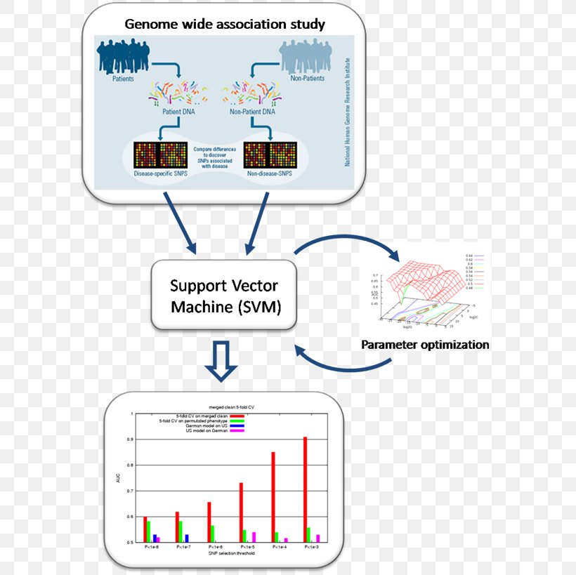 Brand Line Technology Point, PNG, 600x819px, Brand, Area, Diagram, Genome, Genomewide Association Study Download Free