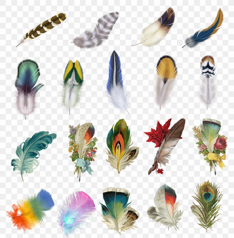 Feather Bird Euclidean Vector Icon, PNG, 4417x4500px, Bird, Color, Fashion Accessory, Feather, Flight Feather Download Free
