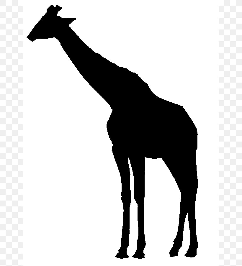 Giraffe Silhouette Clip Art, PNG, 662x902px, Giraffe, Black And White, Drawing, Free Content, Giraffidae Download Free