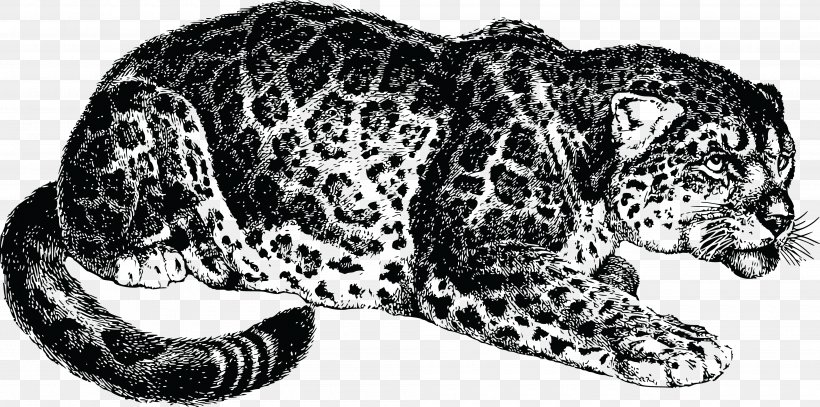 Jaguar Felidae Leopard Ocelot Tiger, PNG, 4000x1987px, Jaguar, Animal, Animal Figure, Big Cat, Big Cats Download Free