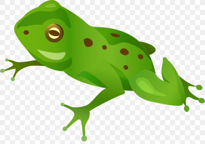 Frog Clip Art Desktop Wallpaper Image, PNG, 1865x1308px, Frog, Amphibian, Digital Image, Display Resolution, Fauna Download Free