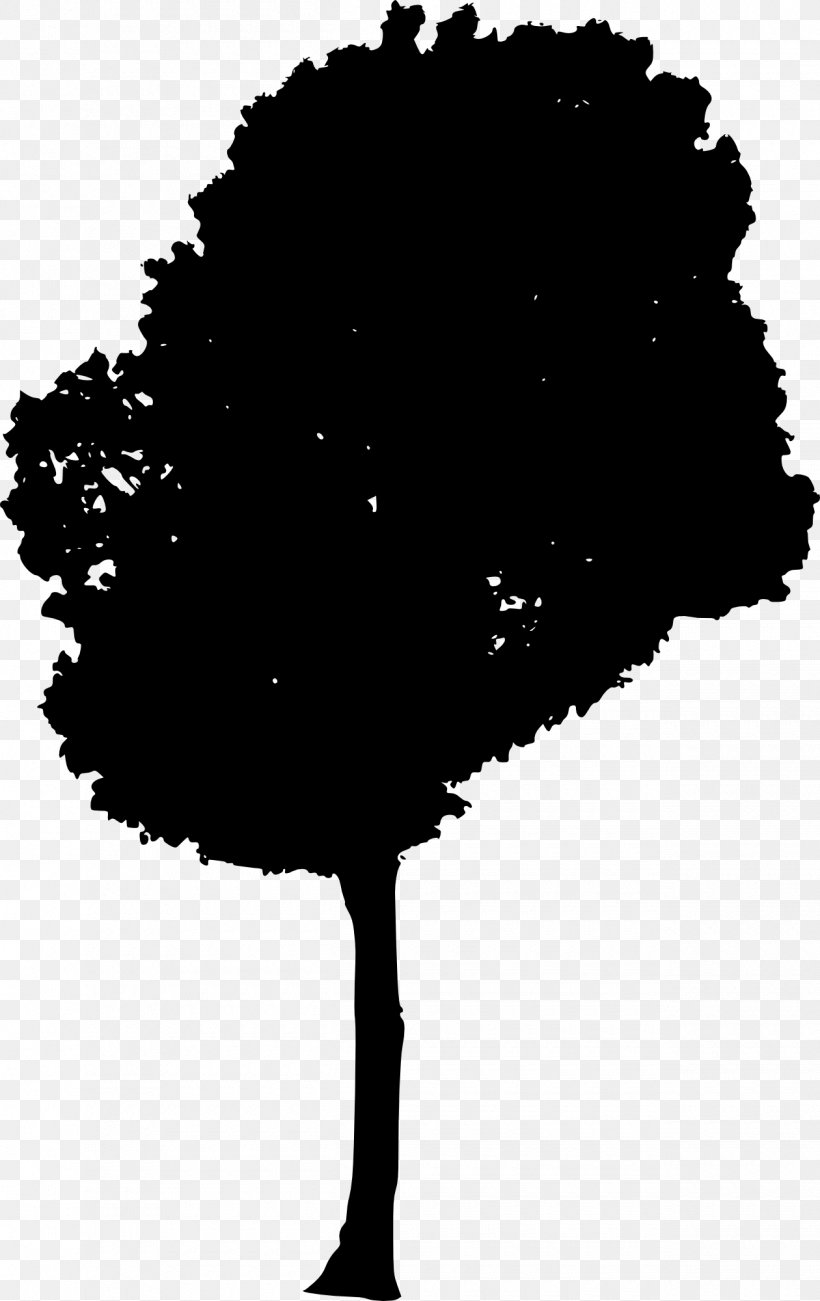 Silhouette, PNG, 1260x2000px, Silhouette, Austral Pacific Energy Png Limited, Black, Black And White, Branch Download Free