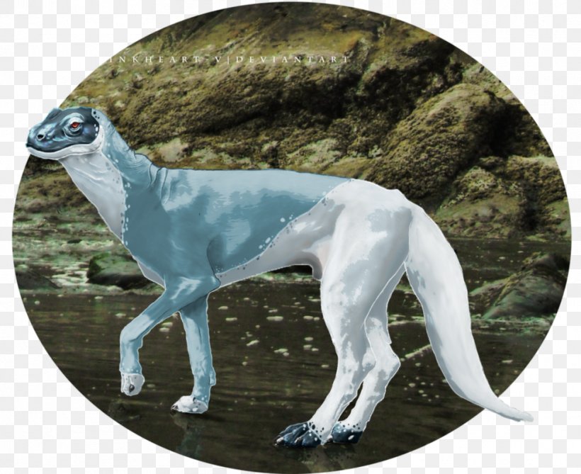 Whippet Italian Greyhound Sloughi Spanish Greyhound, PNG, 989x807px, Whippet, Breed, Carnivoran, Dog, Dog Breed Download Free