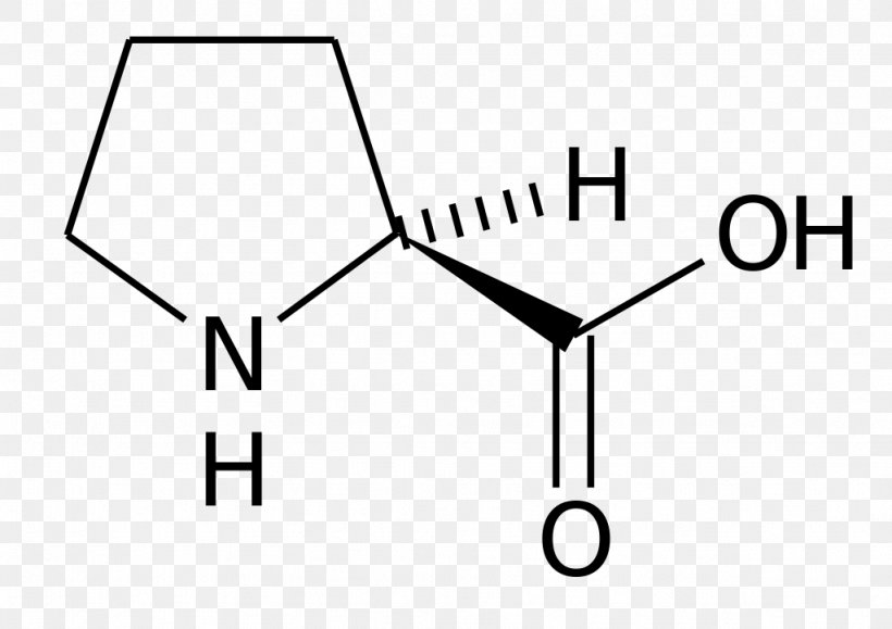 Amino Acid Proline Kainic Acid Cysteine, PNG, 1024x724px, Amino Acid, Acid, Amine, Area, Black And White Download Free