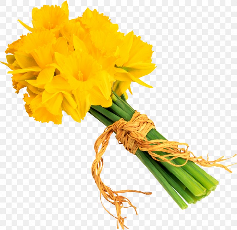 Daffodil Narcissus Flower Wedding, PNG, 1024x993px, Daffodil, Anniversary, Cut Flowers, Flower, Flower Bouquet Download Free