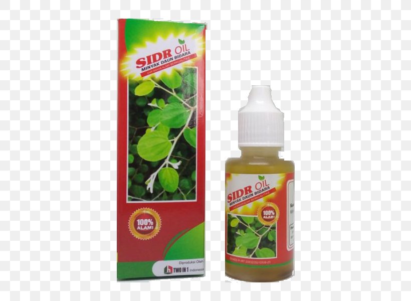 Indian Jujube Oil Exorcism In Islam Health Food, PNG, 600x600px, Indian Jujube, Candlenut, Capsule, Concoction, Drug Download Free