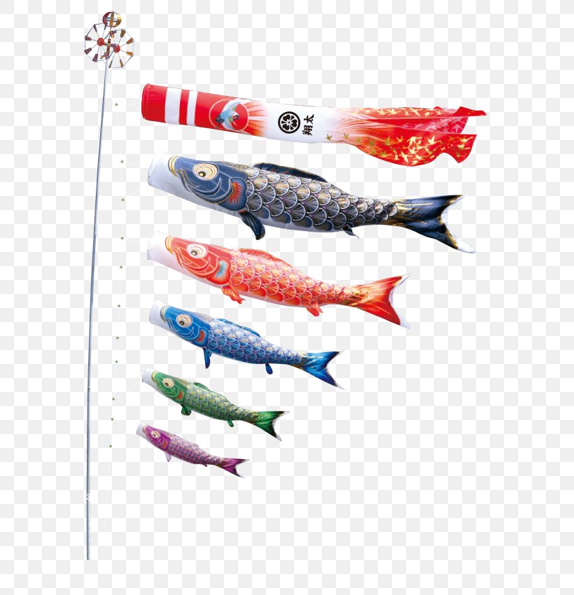 Koinobori Tokunaga Flying Carp 端午 Children's Day Windsock, PNG, 671x850px, Koinobori, Bait, Color, Common Carp, Fish Download Free