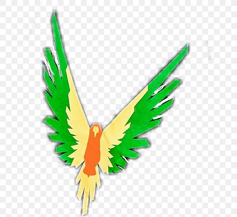 Logo Clip Art, PNG, 646x750px, Logo, Beak, Bird, Common Pet Parakeet, Drawing Download Free