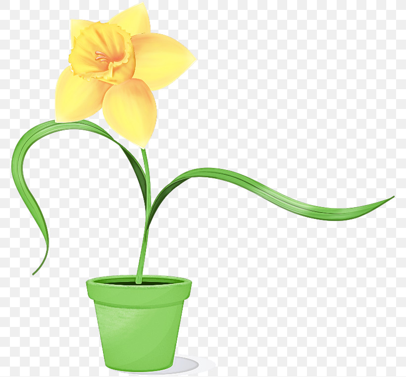 Flower Flowerpot Plant Yellow Houseplant, PNG, 779x761px, Flower, Cut Flowers, Flowerpot, Houseplant, Petal Download Free