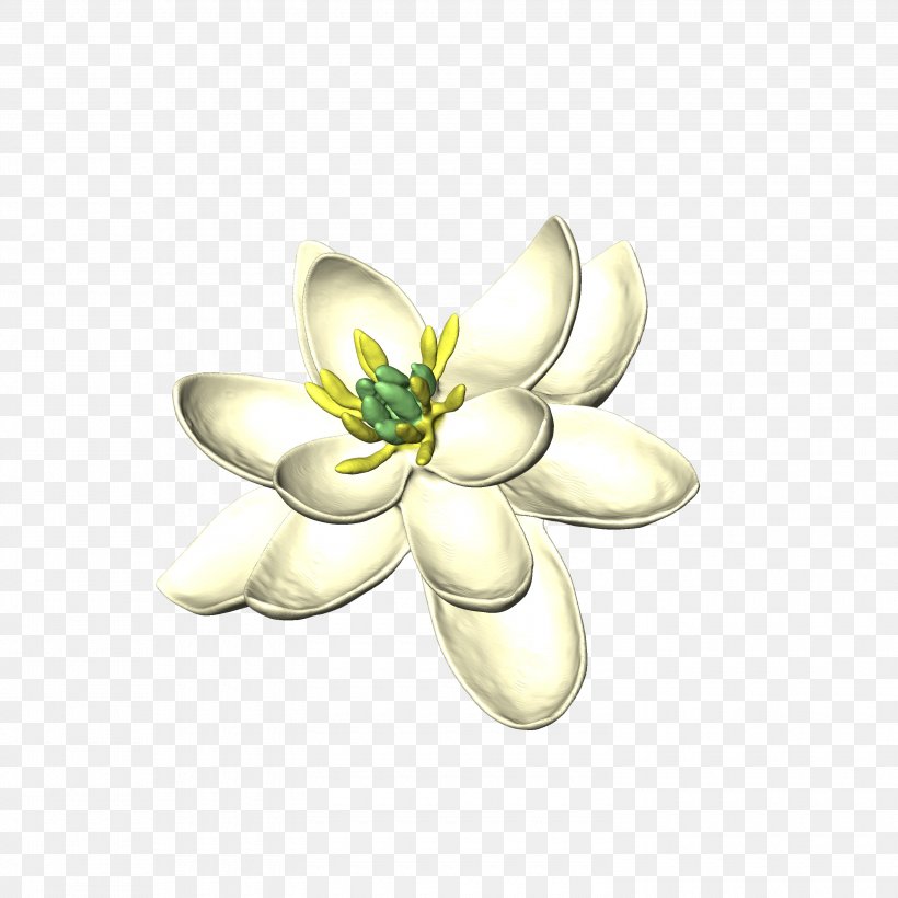 Flower Petal Botany Dwarf Morning-glory Morning Glory, PNG, 3000x3000px, Flower, Body Jewelry, Botany, Brooch, Flora Download Free