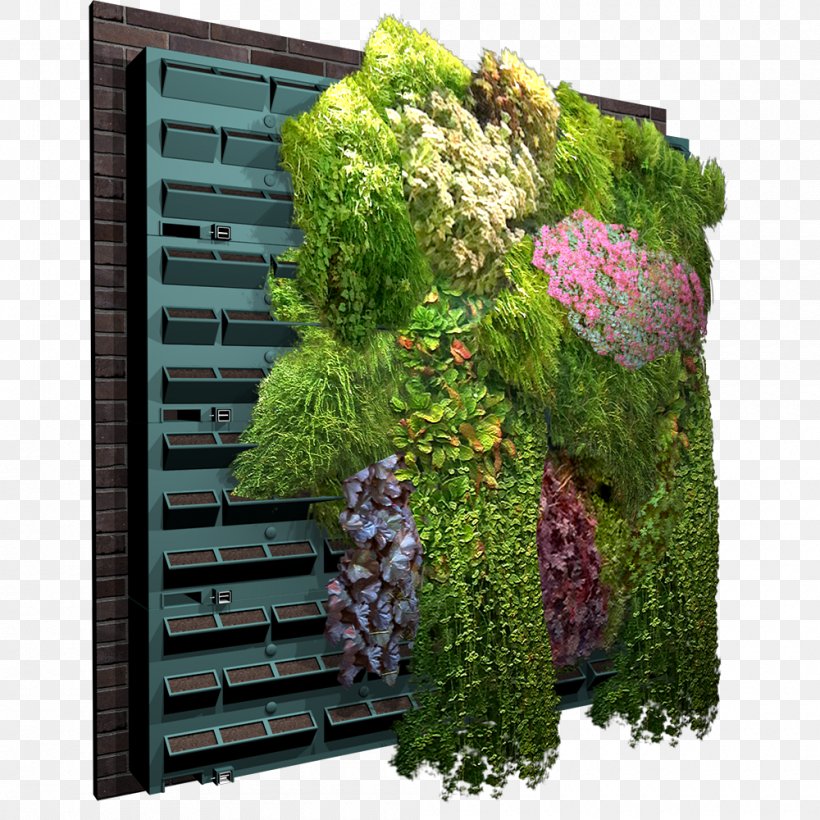 Green Wall Garden Trellis Vine, PNG, 1000x1000px, Green Wall, Archicad, Autocad Dxf, Autodesk Revit, Biome Download Free