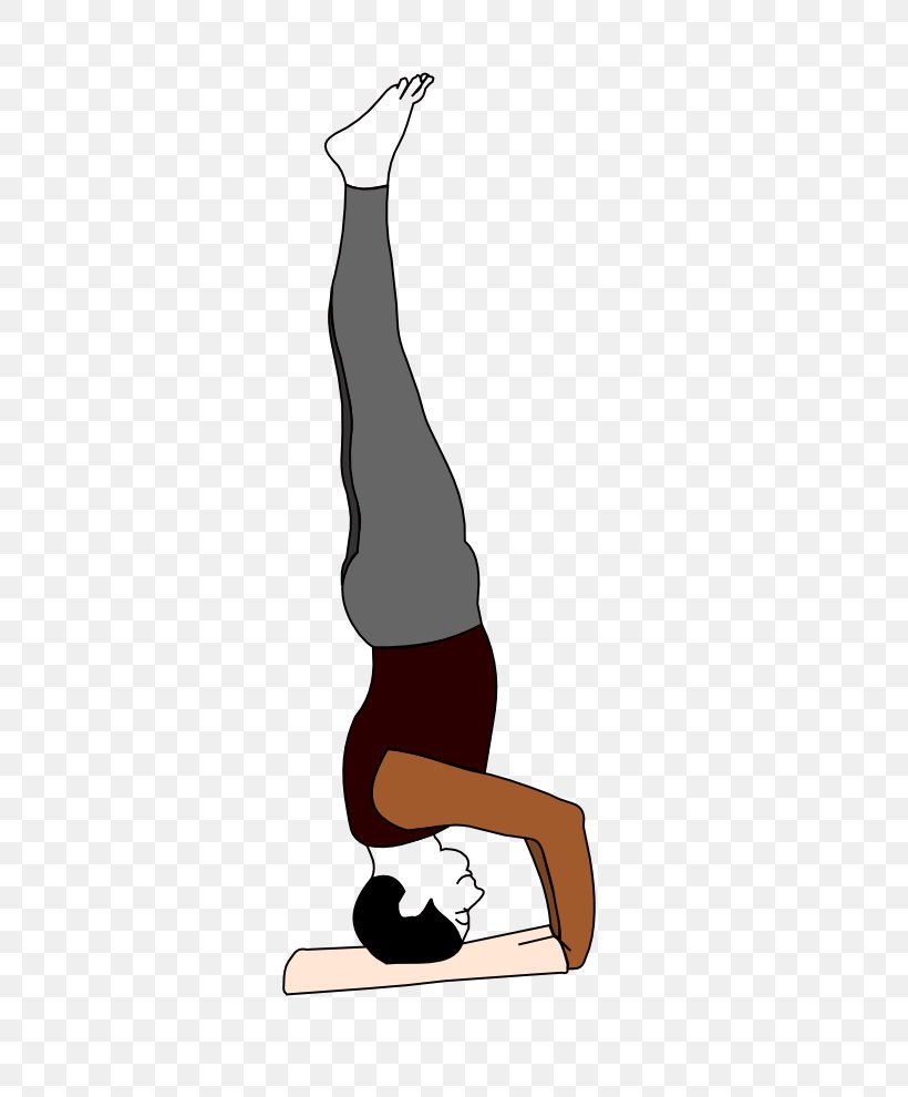 Physical Fitness Leg Arm Balance Stretching, PNG, 765x990px, Physical Fitness, Arm, Balance, Elbow, Flip Acrobatic Download Free