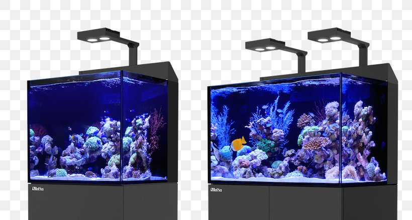 Red Sea Reef Aquarium S.E.A. Aquarium, PNG, 800x439px, Red Sea, Aquarium, Aquarium Lighting, Coral Reef, Display Device Download Free