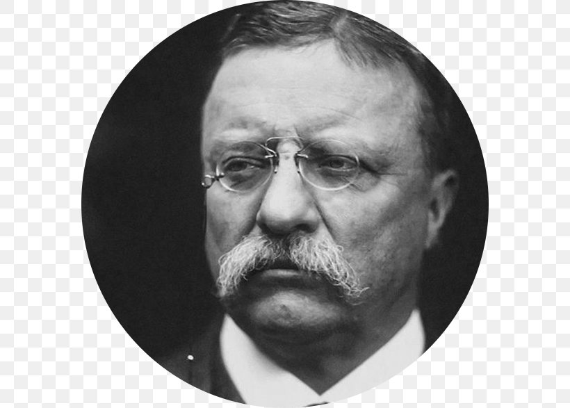 Theodore Roosevelt White House President Of The United States United States Presidential Inauguration Republican Party, PNG, 586x587px, Theodore Roosevelt, Abraham Lincoln, Beard, Black And White, Chin Download Free