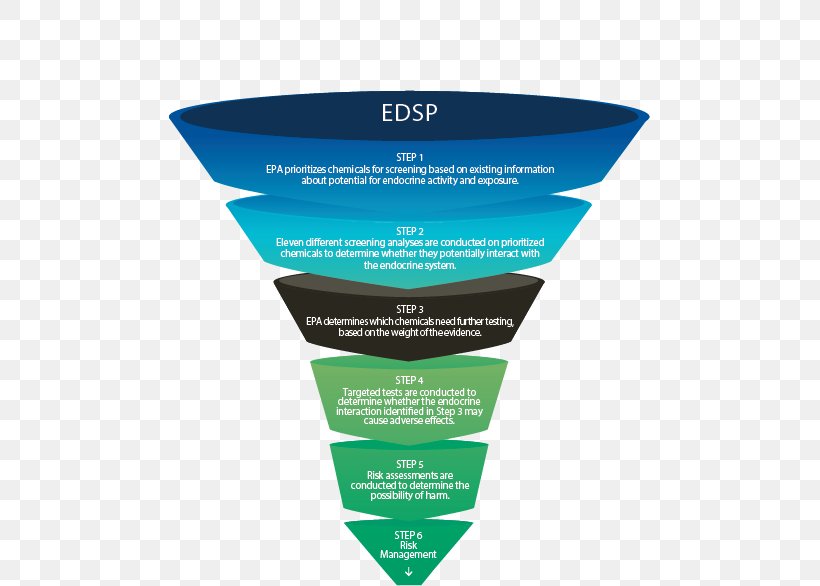 Endocrine Disruptor Endocrine System Endocrine Gland United States Environmental Protection Agency Human Body, PNG, 495x586px, Endocrine Disruptor, Brand, Chemical Substance, Endocrine Gland, Endocrine System Download Free