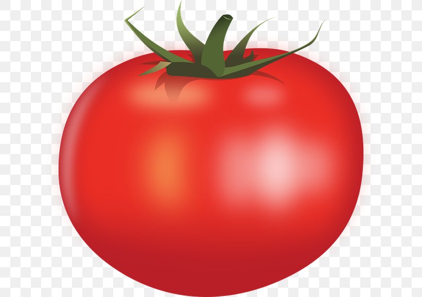 Hamburger Vegetable Clip Art, PNG, 640x578px, Hamburger, Apple, Bush Tomato, Canned Tomato, Cherry Tomato Download Free