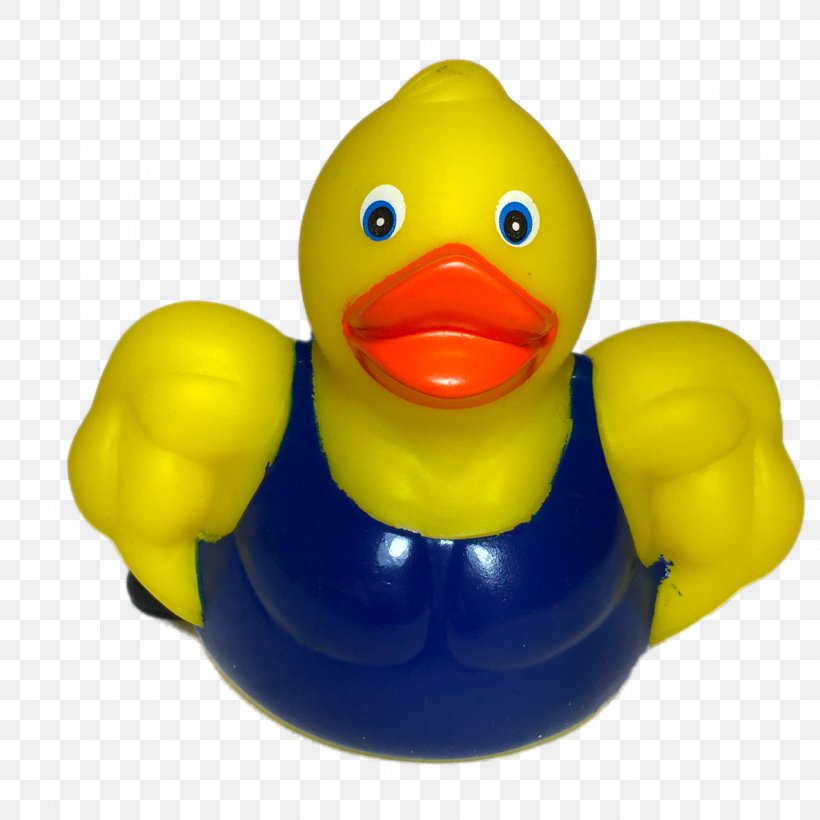 Rubber Duck Platypus Toy Muscle, PNG, 1280x1280px, Duck, American Pekin, Arm, Beak, Bird Download Free