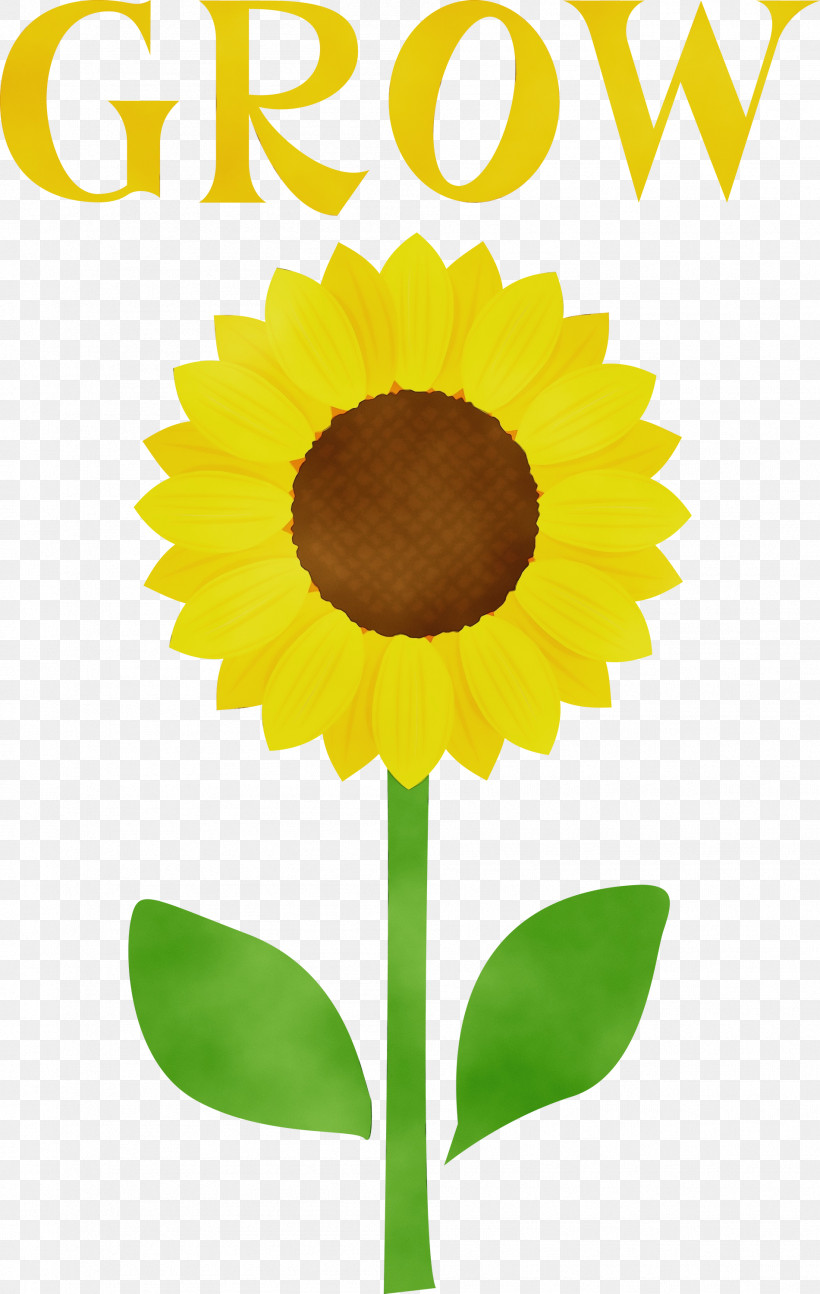 Check Mark, PNG, 1901x3000px, Grow, Account Verification, Check Mark, Emoji, Flower Download Free