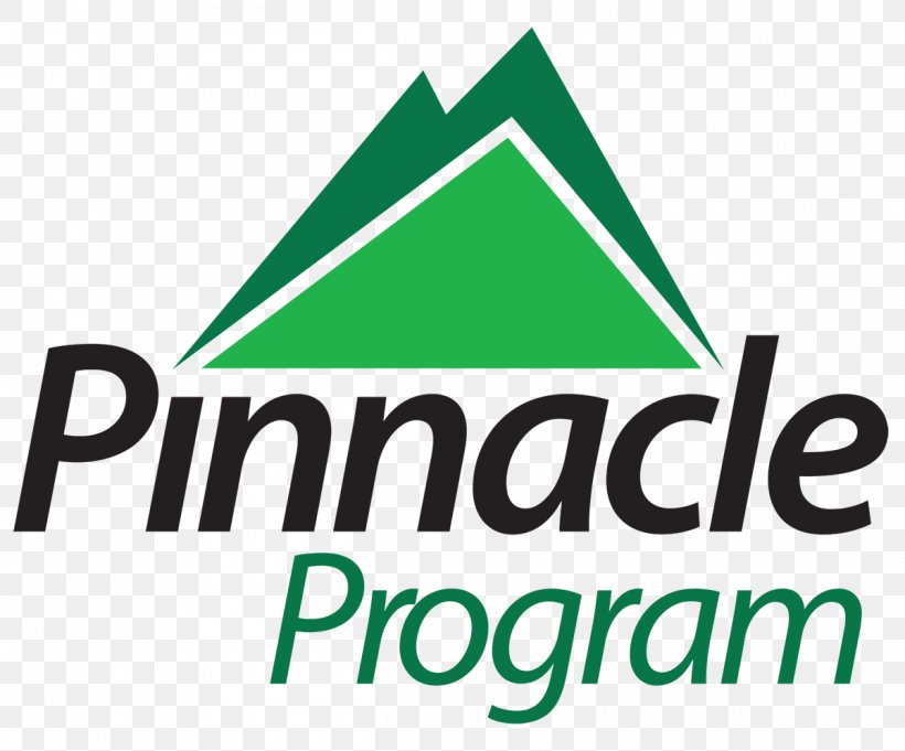 Computer Software Computer Program Pinnacle Studio Software Cracking Video Editing, PNG, 1200x998px, Computer Software, Area, Brand, Computer Program, Editing Download Free