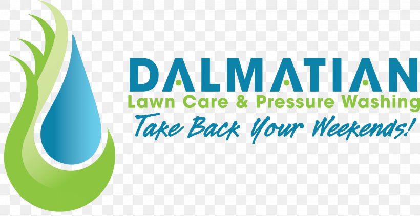 Dalmatian Dog Dalmatian Lawn Care And Pressure Washing, LLC Jimbo Electric Brand Pressure Washers, PNG, 1935x996px, Dalmatian Dog, Brand, Business, Dog, Grass Download Free