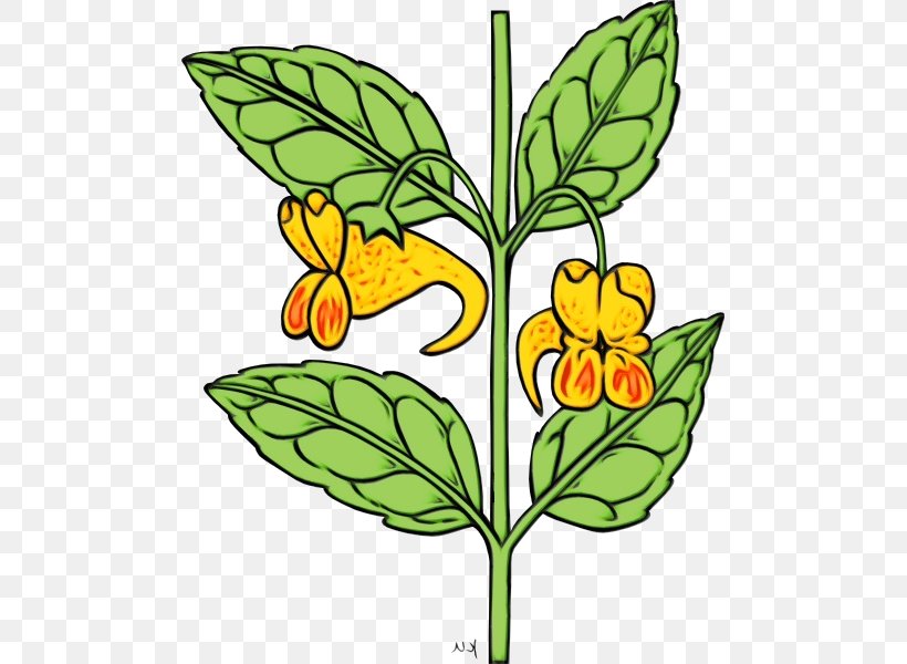 Flower Clip Art Plant Leaf Flowering Plant, PNG, 491x600px, Watercolor, Cowslip, Flower, Flowering Plant, Leaf Download Free