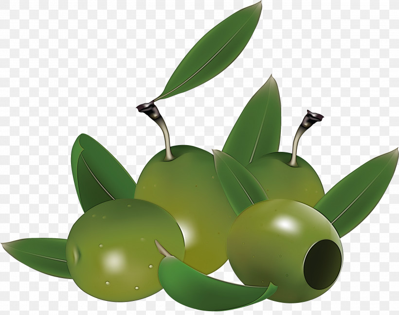 Green Olive Fruit Leaf Plant, PNG, 2999x2374px, Green, Flower, Food, Fruit, Leaf Download Free