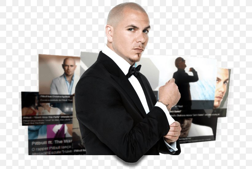 Pitbull Pit Bull Song Actor Greatest Hits, PNG, 695x550px, Watercolor, Cartoon, Flower, Frame, Heart Download Free