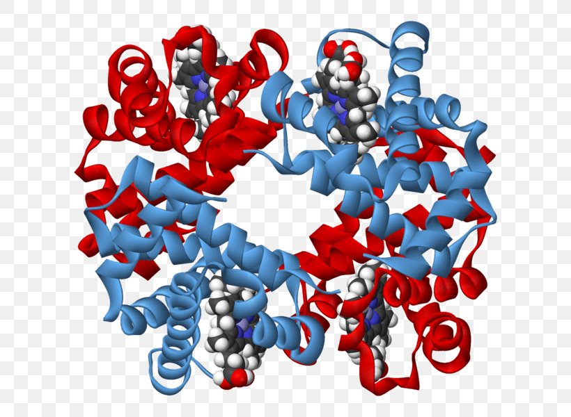 Biochemistry Carbohydrate Polysaccharide Protein Lipid, PNG, 668x600px, Biochemistry, Biology, Biomolecule, Carbohydrate, Chemistry Download Free