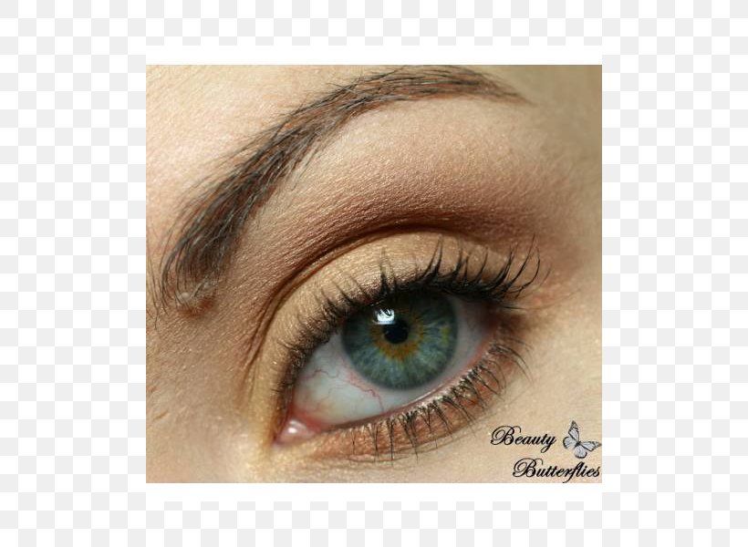 Eyelash Extensions Eye Shadow Eye Liner Eyebrow, PNG, 800x600px, Watercolor, Cartoon, Flower, Frame, Heart Download Free