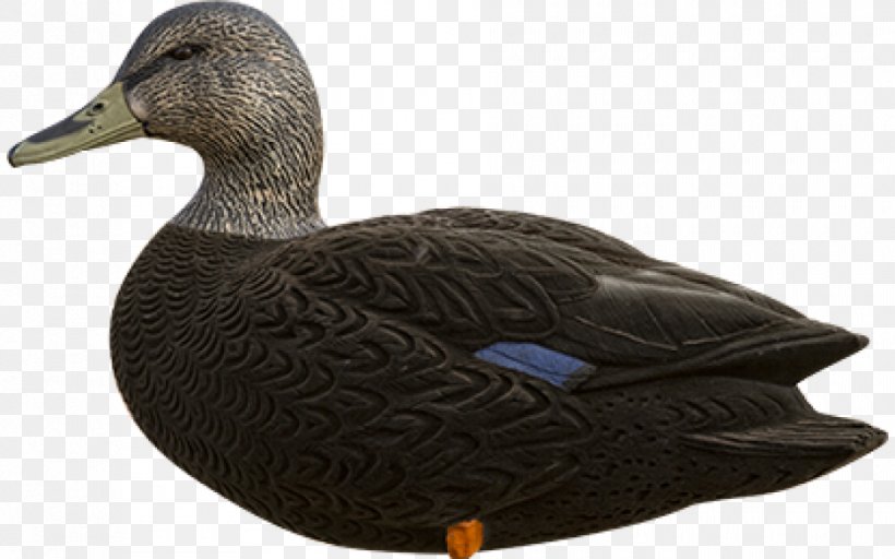 Mallard American Black Duck Duck Decoy, PNG, 940x587px, Mallard, American Black Duck, Beak, Bird, Decoy Download Free